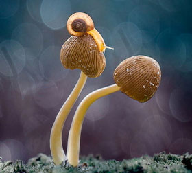 在线永久免费轰炸云呼